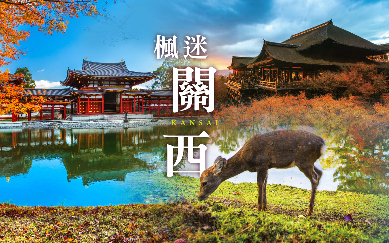 楓迷關西５日